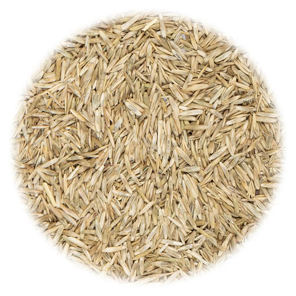 VidaXL Grassamen für Feld und Weide 20 kg