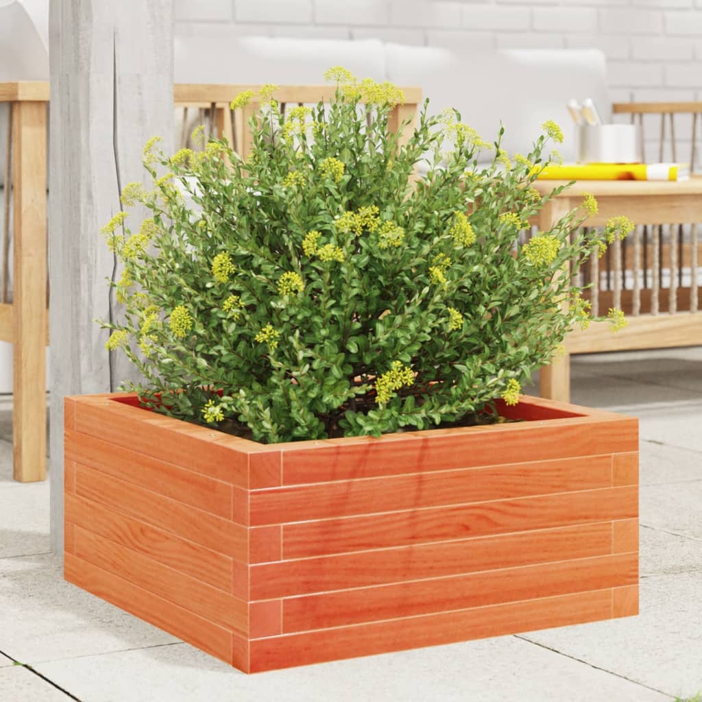 Vidaxx Pflanzgefäß 60x60x23 cm massives Kiefernholz, braun gewaschen