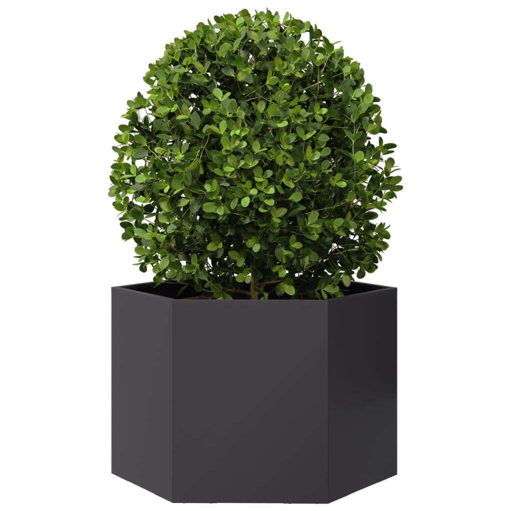 Vidaxx Pflanzgefäß Sechseck 69x60x45 cm Stahl schwarz