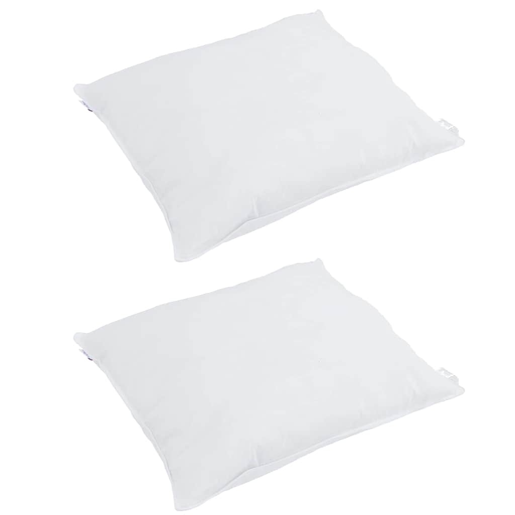 Vidaxl hoofdkussen met kussen 2 pcs wit 60 x 60 cm veren