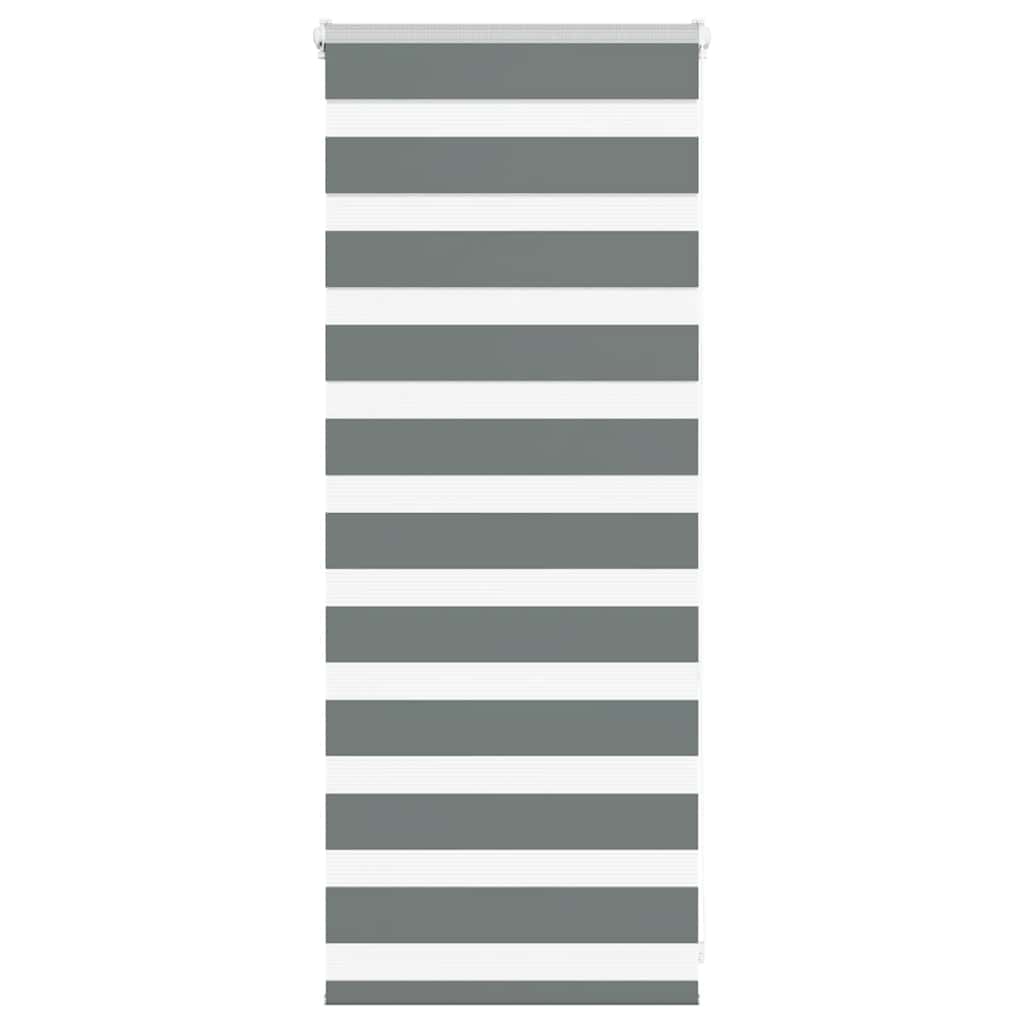 VidaXL Zebra-Rollo 55x100 cm Stoffbreite 50,9 cm Dunkelgrau