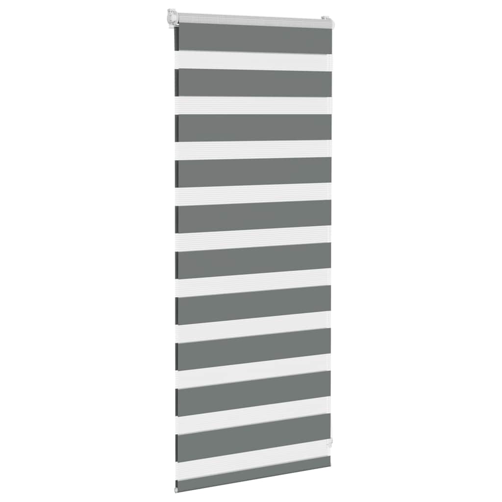 VidaXL Zebra-Rollo 55x100 cm Stoffbreite 50,9 cm Dunkelgrau