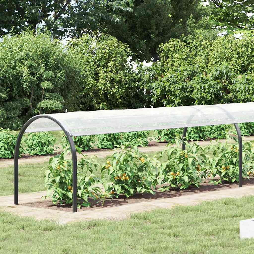 Vidaxx transparente Plane mit Ösen 1x6 m Polyethylen