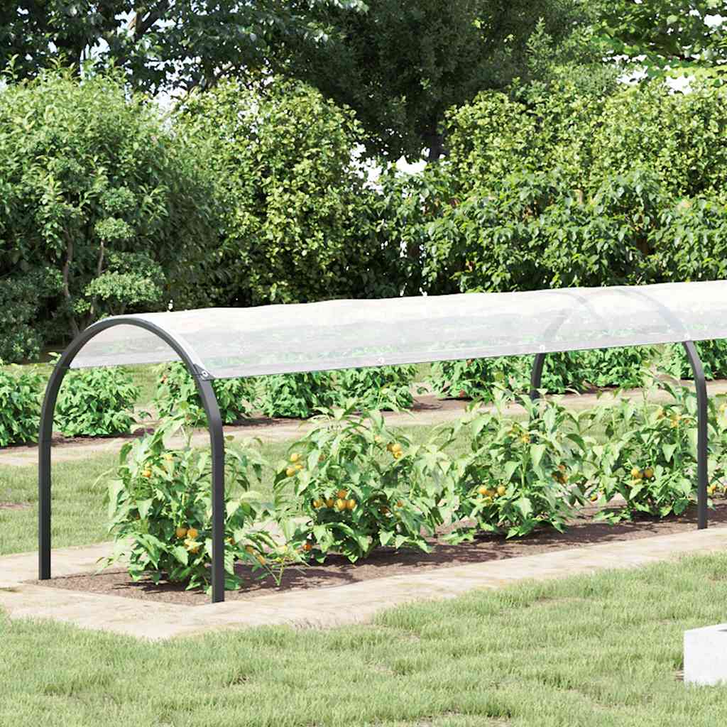Vidaxx transparente Plane mit Ösen 1x10 m Polyethylen