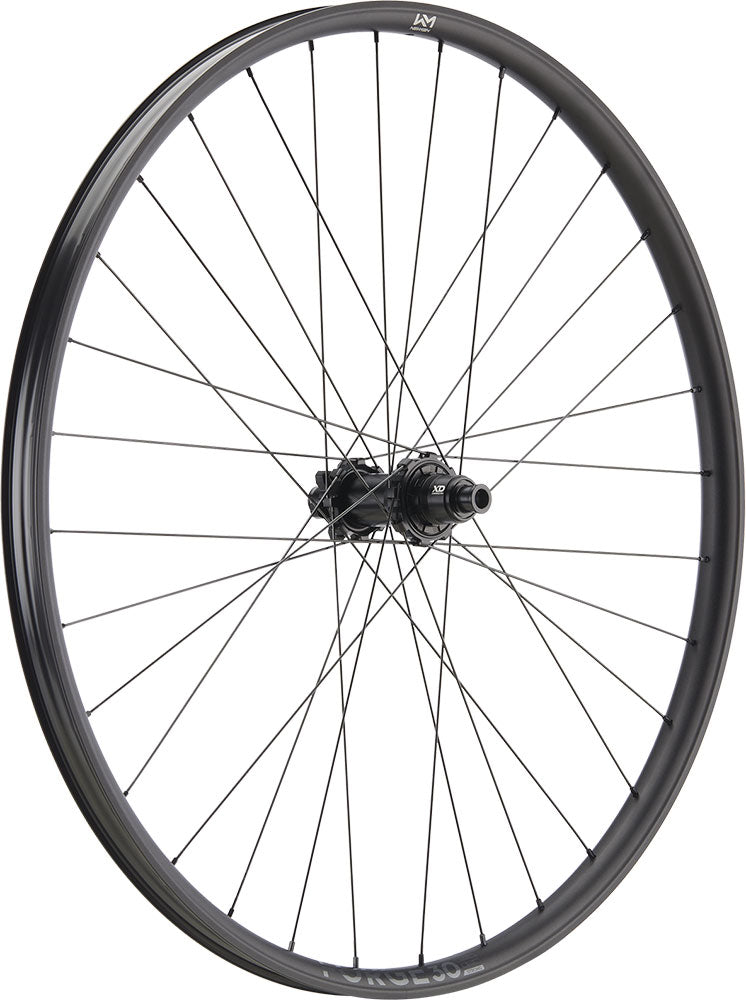 Newmen Forge 30 Dh 29 6-Loch 12x148 Fade Hinterrad