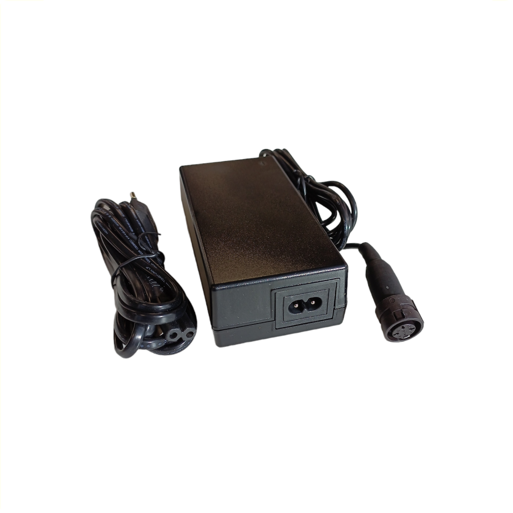 Gazelle Batterieladegerät BMZ 998002100. Geeignet für Innergy