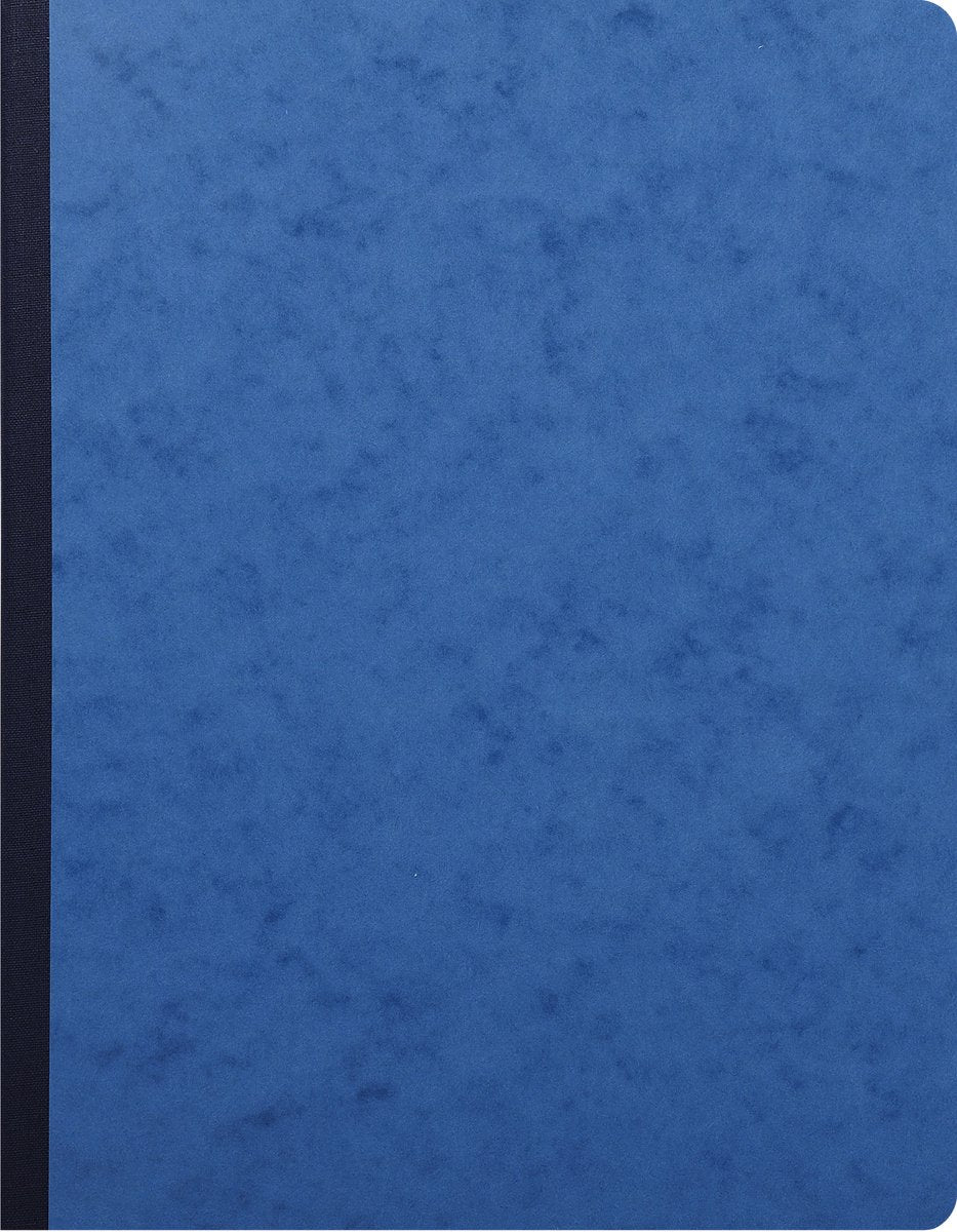 Exacompta-Standardregister 32 x 25 cm – liniert – nummeriert – mit Identifikationsseite – 80 Seiten – sortiert – 6420e