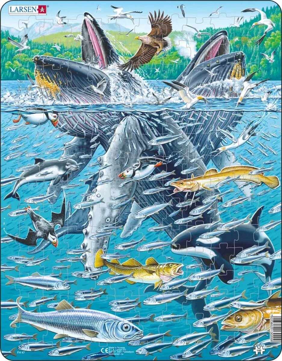 Larsen Buckelwale – Puzzle – Tiere – Ozean – Lernpuzzle für Kinder – 140 Teile – hergestellt in Norwegen – extra dicke 2,5 mm Teile – Tablett mit festem Rand
