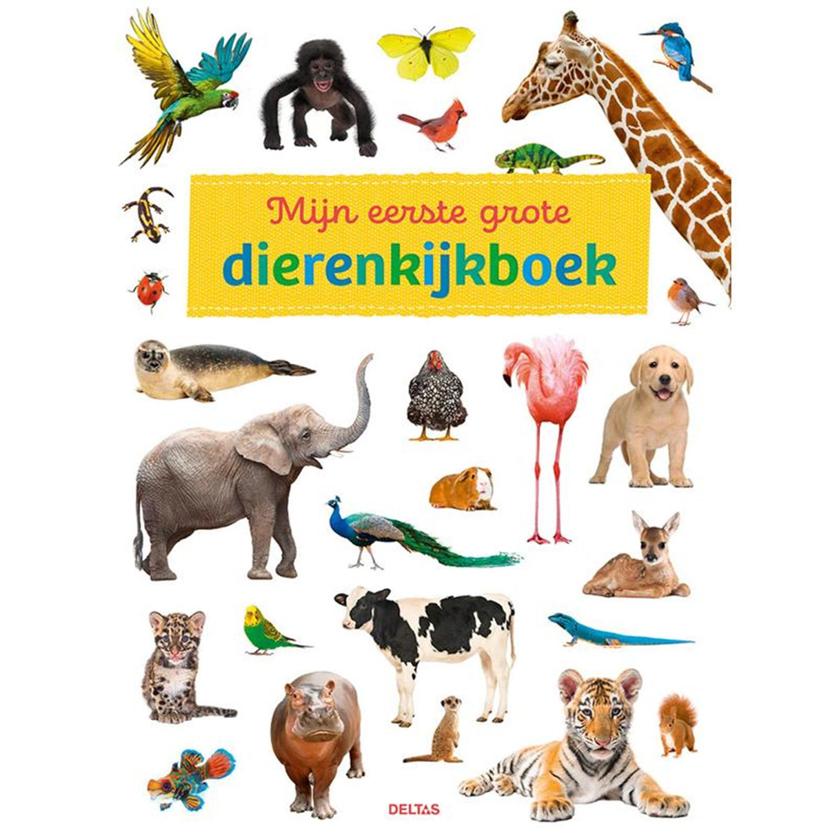 Deltas ist mein erstes großes Tierbeobachtungsbuch