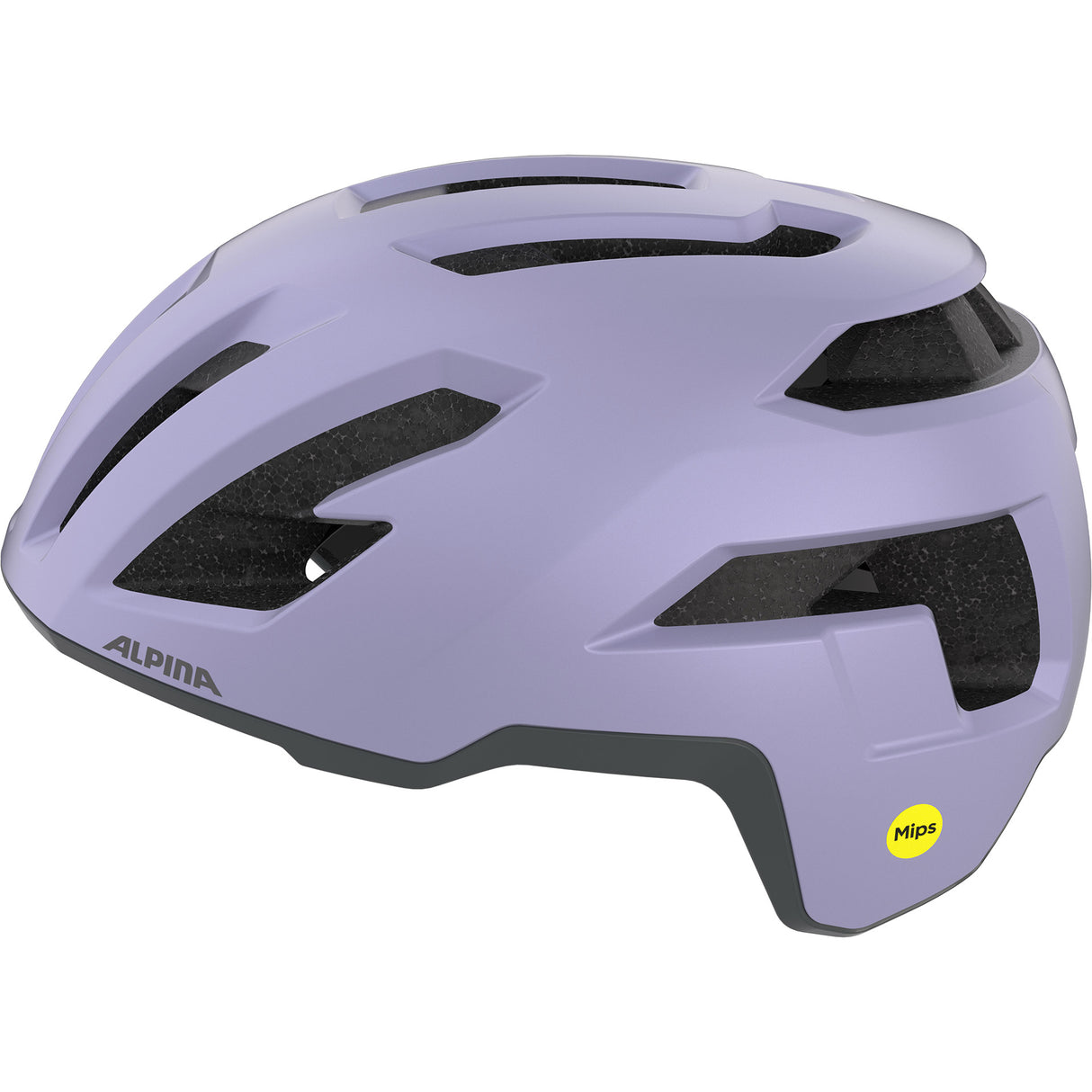 Olympiasportbekleidung Alpina Sports Tour Helm Taunus Gravel Mips 55-59 matt lila