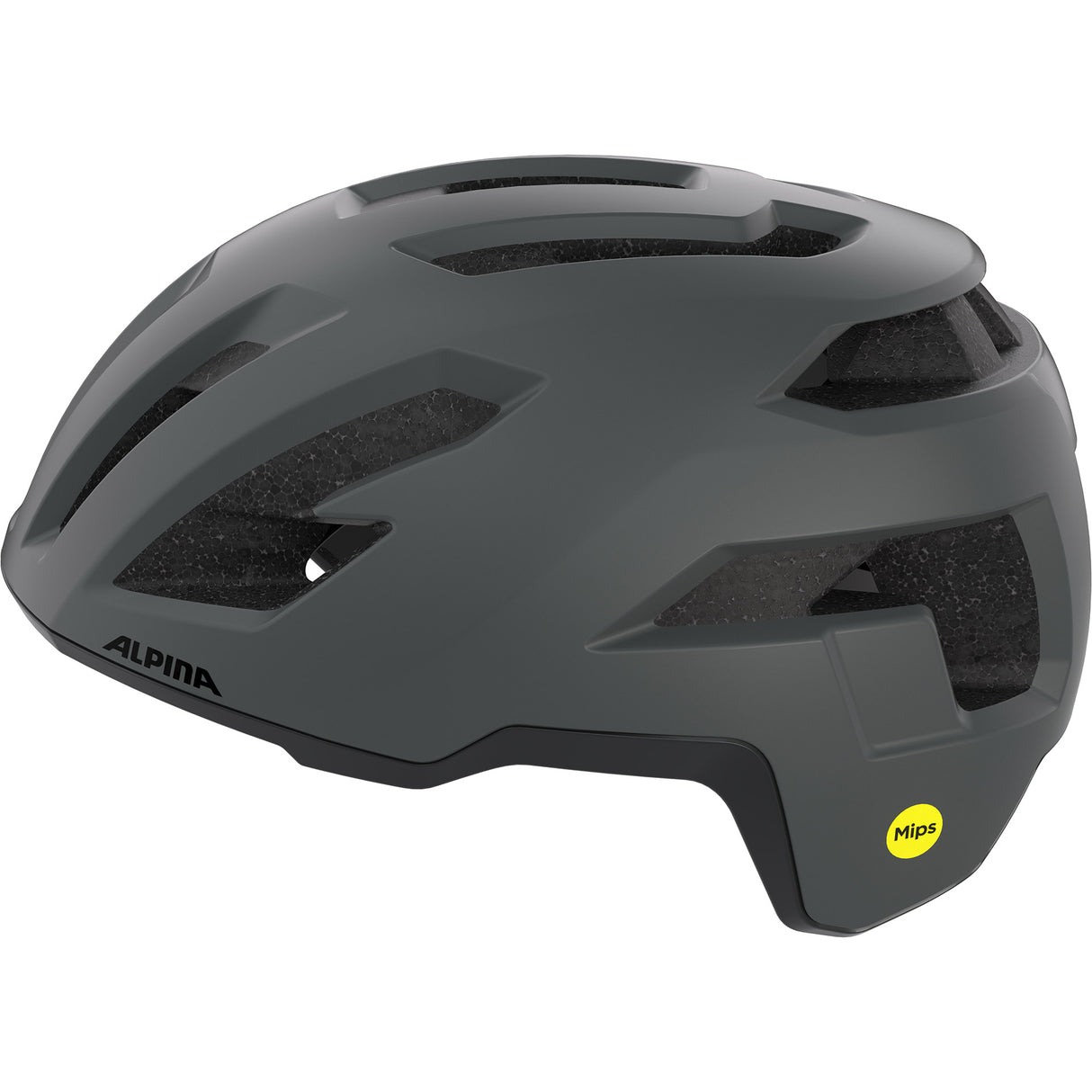 Olympiasportbekleidung Alpina Sports Tour Helm Taunus Gravel Mips 55-59 matt dunkelgrau