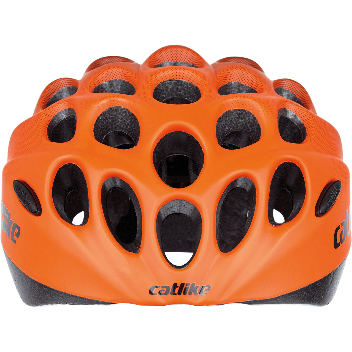 Buzaglo katze Kinderkätzchen Größe S 52-55 cm Oranje