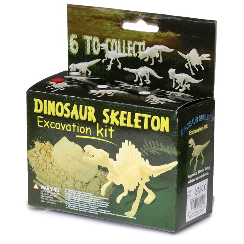 Kleines Dinosaurierskelett-Ausgrabungsset
