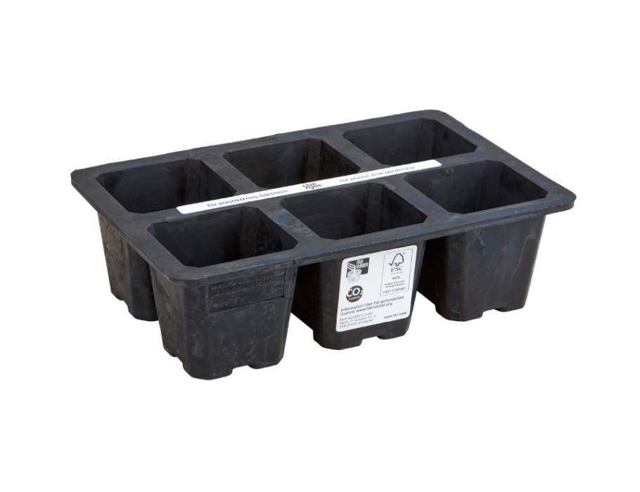 Fairzone Keimbox – Naturkautschuk – 6 Fächer