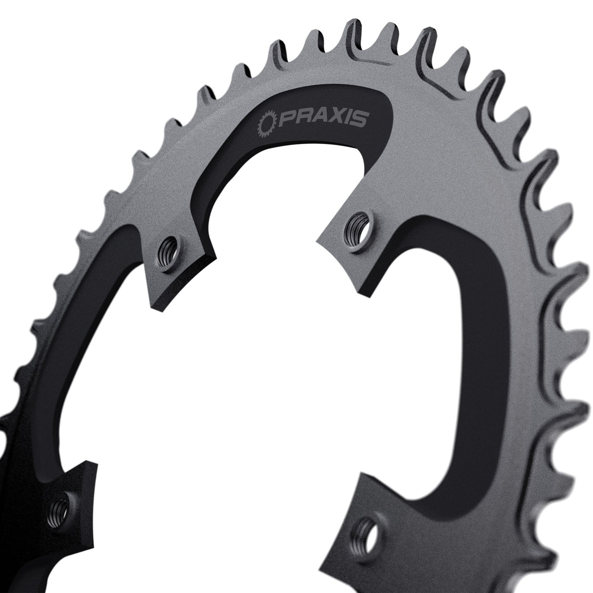 Praxis Kettenblatt 1x E-Ring 110bcd m8 42t
