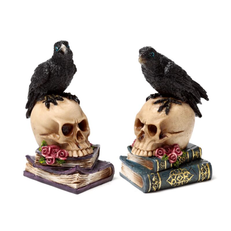 Krähe sitzt auf Totenkopfbüchern
