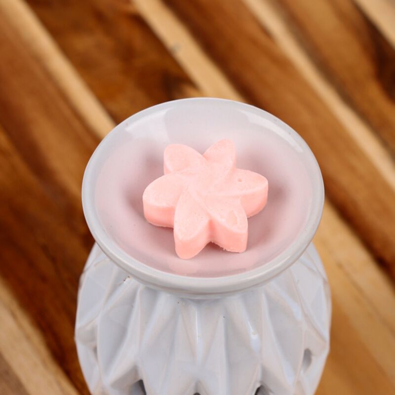 Japanisches Magnolien-Set mit 6 Wachsschmelzen