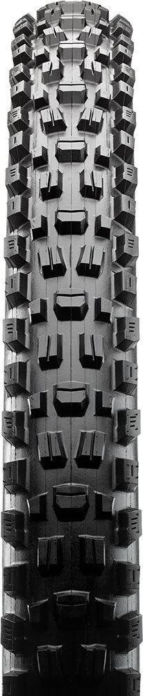 Maxxis reifen asgai exo+ tr 29 x 2,50 SW falten