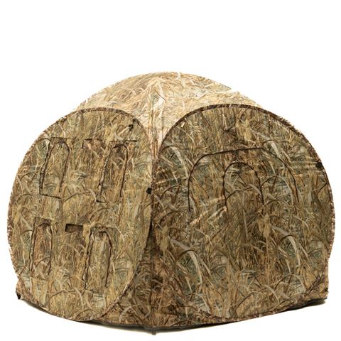 Buteo Photo Gear Shelter Aquila Mark II Riet Plus
