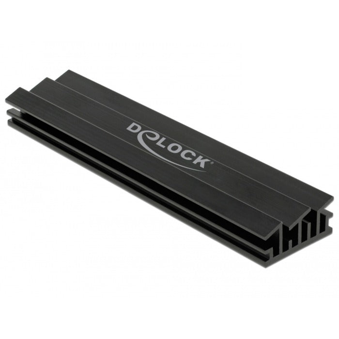 DELOCK DELOCK WEIDEKREINK 100 mM für M.2 -Modul