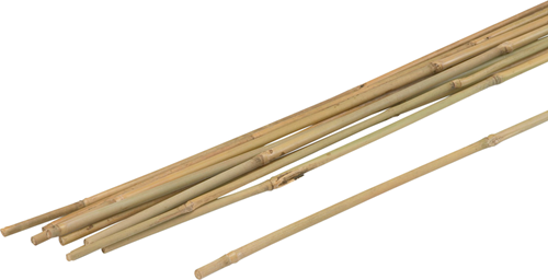 Meister Pflanzenstab Bambus 120cm (10 Stück) - wu9966410