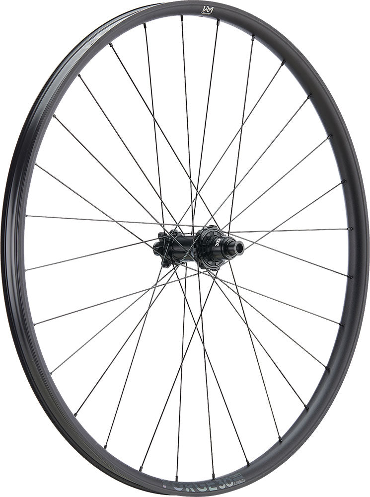 Newmen Forge 30 Base Trail 29 6-Loch 12x148 Fade Hinterrad