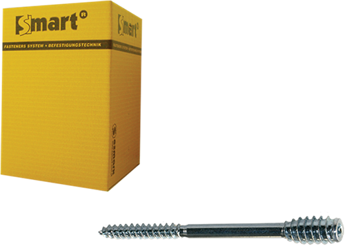 Pgb-europa smart | Distanzschraube T-Antrieb T25 ø 6x100 Zn | 50 Stück – sm0ssc0010601003