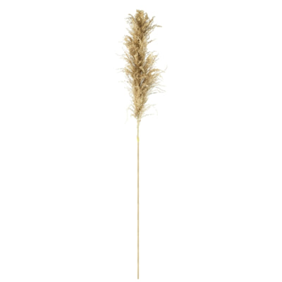 Parlane Pampasgras natur 120 cm | 18 Stück