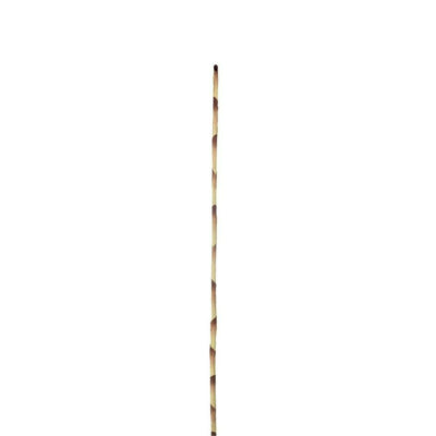 Parlane Kunstzweig Bambus gelb braun 100 cm | 24 Stück