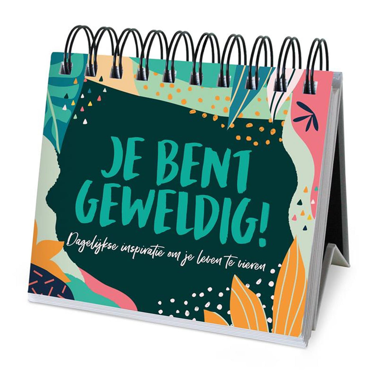 Imagebooks 365-Tage-Geschenkbuch – Du bist großartig!