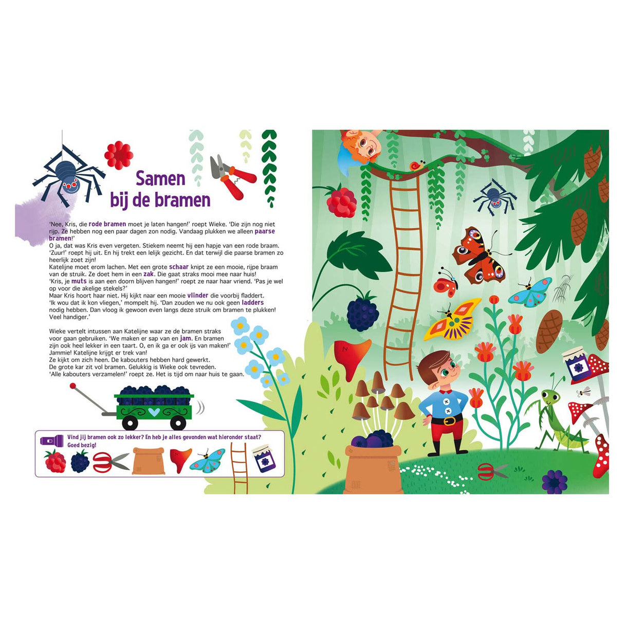 Lantern Publishers -Suche in der Kabouterbos + Papptafard Taschenlampe