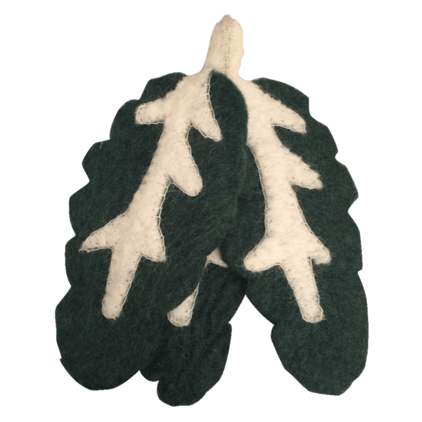 Papoose -Spielzeug Papoose -Spielzeug fühlte Food Silverbeet 3