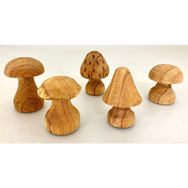 Papoose Toys Papoose Toys Pilze handgeschnitzt 5pc