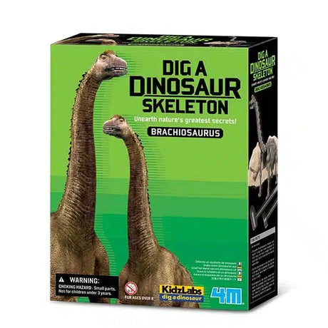 4m - Kidzlabs - Ausgraben - Brachiosaurus
