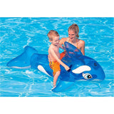 Intex Walrutscher 152x114cm