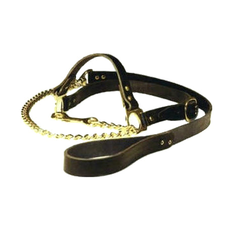 Produkte Inspektionshalfter mit Kette, schwarzes Rindsleder