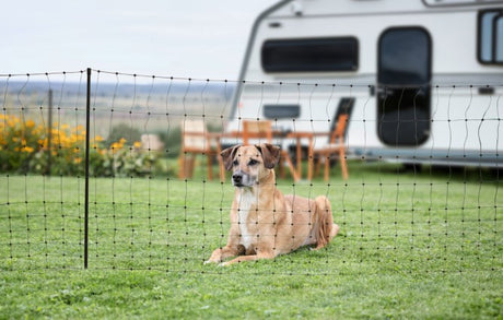 Ako Campingnetz 20 Meter 80cm grüner Einzelstift