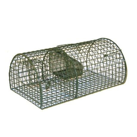 Ngk-Produkte Rattan-Halbkugel