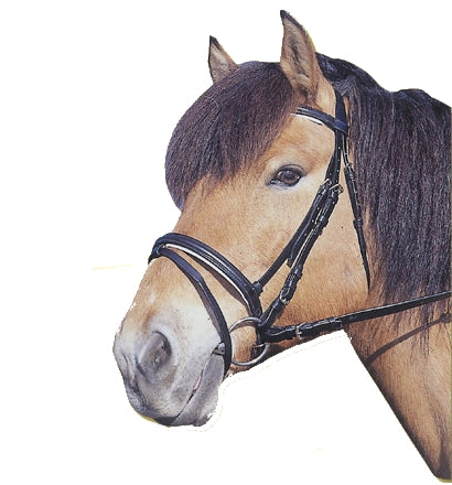 Produkte Trensenzaum Standard Leder schwarz voll