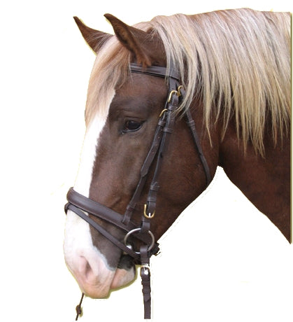 Produkte Zaumzeug Standard Leder braun Pony