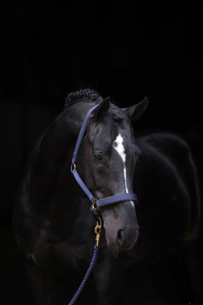 Abi Products Topline Halfter Blau 1 Pony