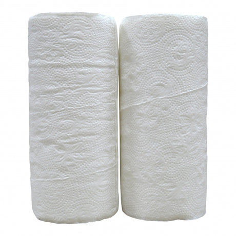 Produkte Küchenrolle Zellulose weiß Ballen eine 16x2 Rolle