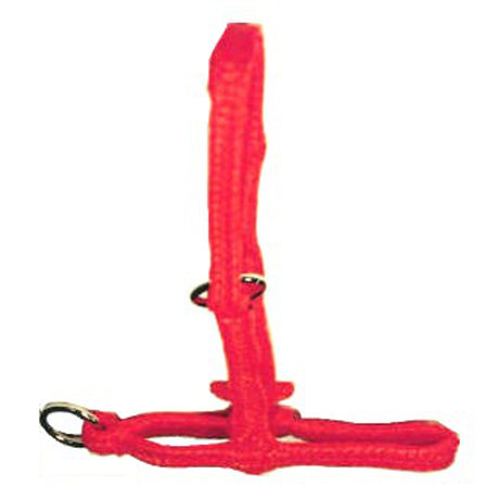 Produkte Polyhalter Orange Kalb