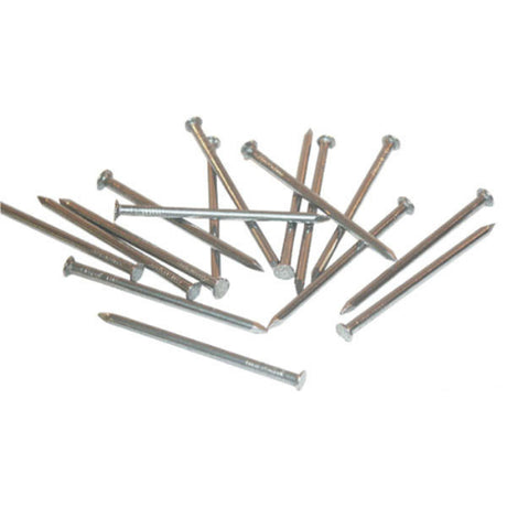 Producten spijkers ruitkop blank 5kg 2 0x40