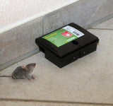 Produkte Futterbox plus Schlüsselblockbox Peti Mouse