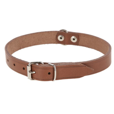 Produkte Hundehalsband Leder 10mm Taupe
