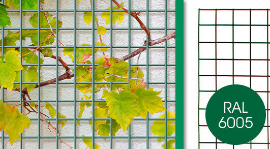 Giardino-Produkte Bologna-Drahtpaneel 5x5cm x 150cm x 60cm RAL 6005 grün