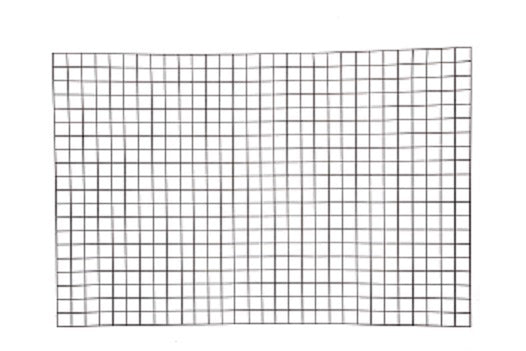 Giardino Produkte Bologna Drahtpaneel 5x5cm x 150cm x 60cm RAL 7016 Anthrazit