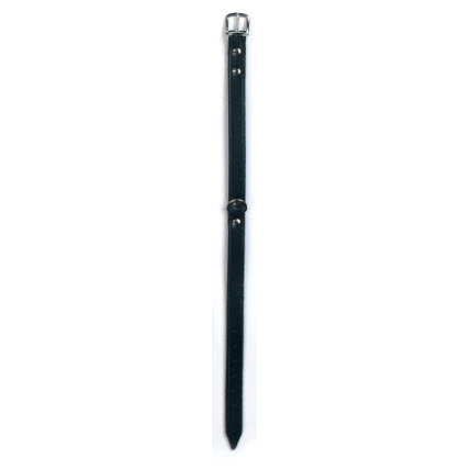 Produkte Hundehalsband Leder 20mm schwarz