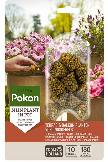 Pokon Produkte Terrasse Balkonpflanzen Ernährung lange Zapfen 10 Stk